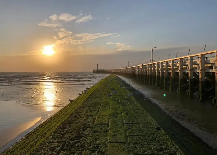 Apartment Duynensuite *